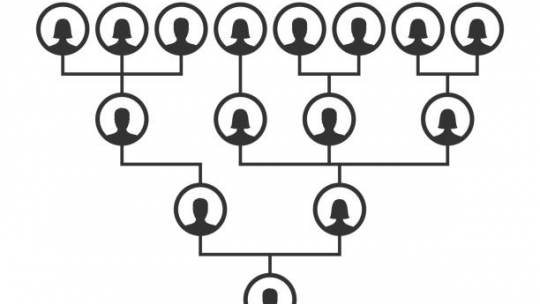 Quels conseils pratiques pour établir un arbre généalogique?