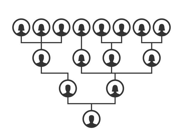 Quels conseils pratiques pour établir un arbre généalogique?